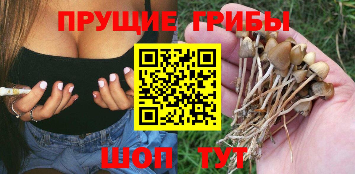 Галлюциногенные грибы прущие грибы Белогорск