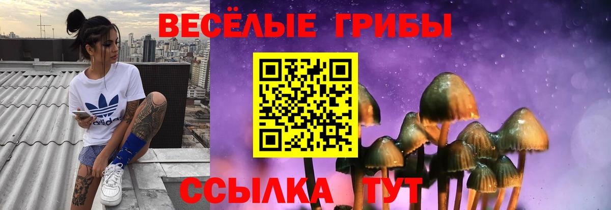 Псилоцибиновые грибы MAGIC MUSHROOMS  Псилоцибиновые грибы Magic Shrooms  Вход с VPN  Белогорск 